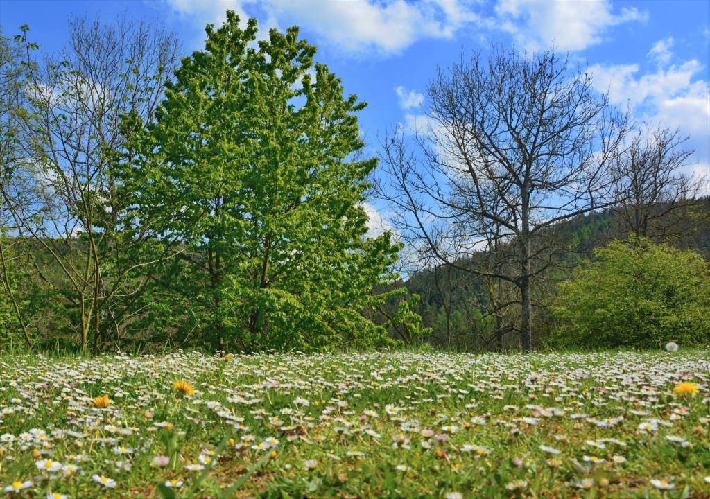 Návrat do ČR a&nbsp;Šumava