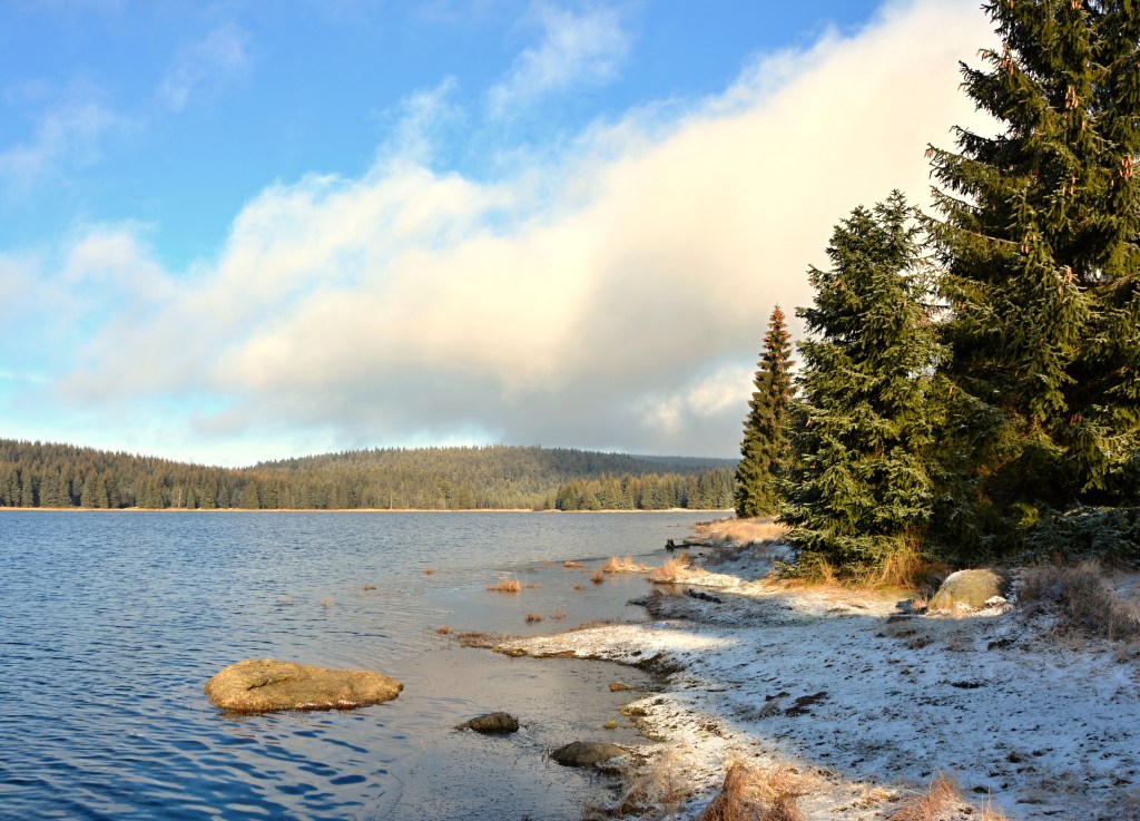 Kolem Bedřichovské přehrady, aneb poslední výlet v roce&nbsp;2020