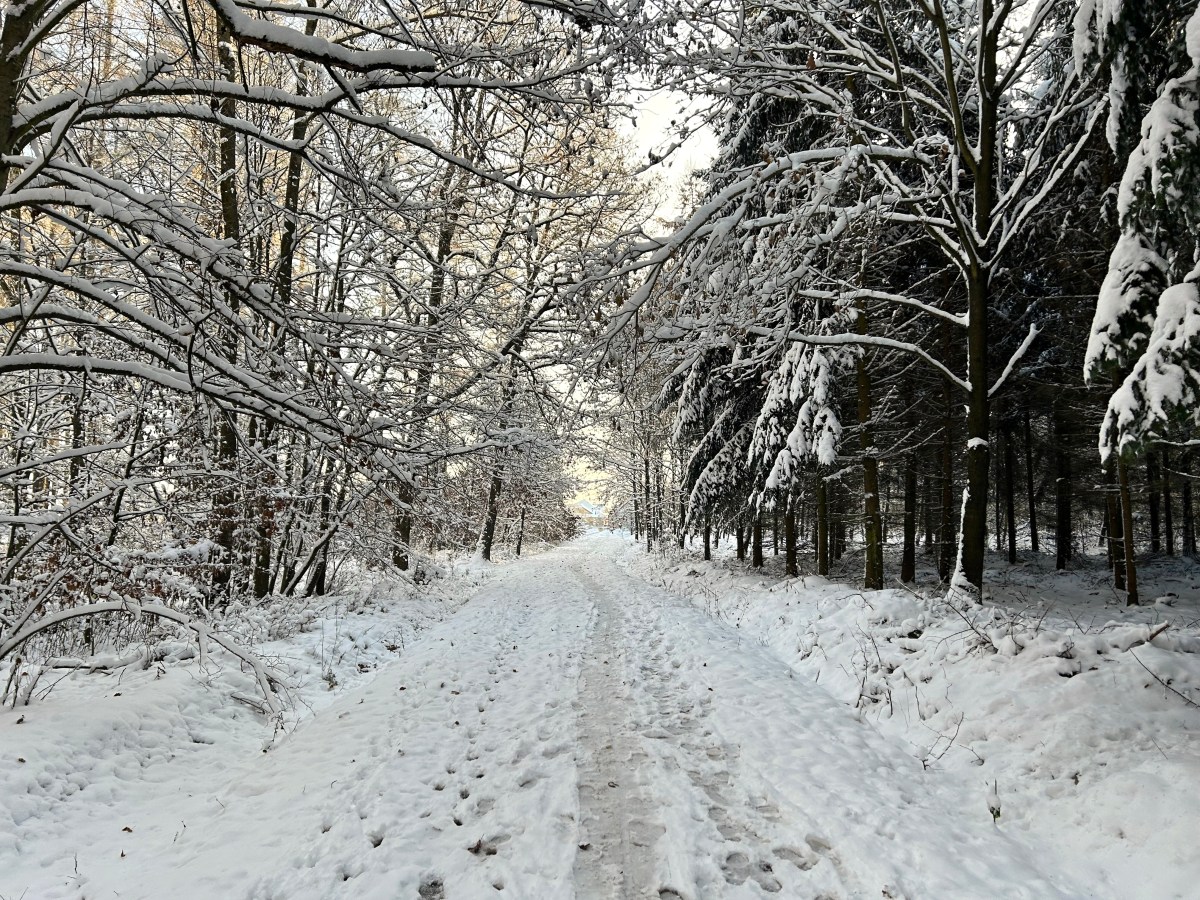 Friluftsliv aneb spojení s&nbsp;přírodou