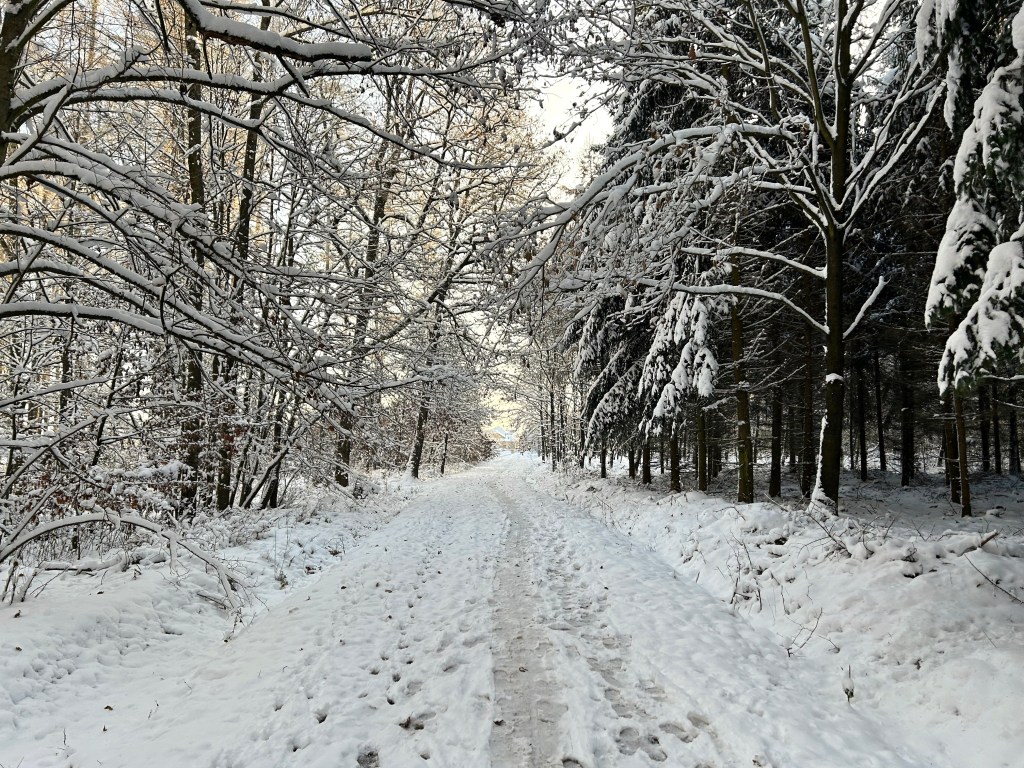 Friluftsliv aneb spojení s&nbsp;přírodou